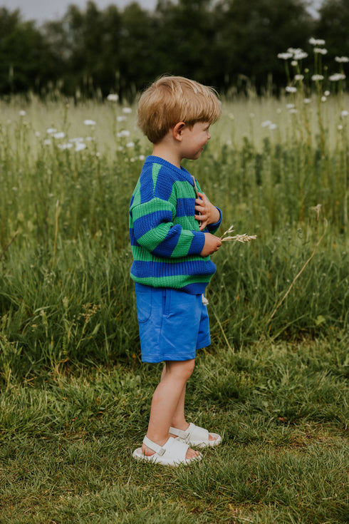 Shorts Umi - BLUEBERRY