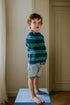 Stripes Knitted Sweater - PEACOCK