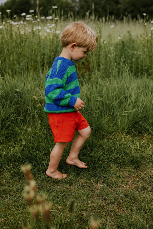 Stripes Knitted Sweater - PEACOCK