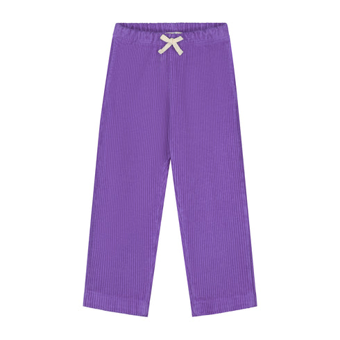 Trousers Beau Corduroy - AMETHYST