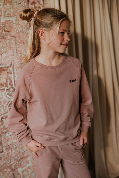 Sweater Teddy (Sweat fabric) - MAUVE