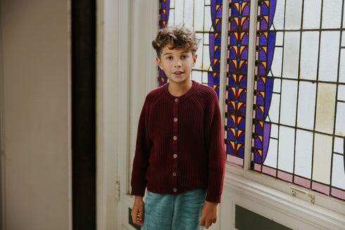 Raglan Cardigan - PLUM
