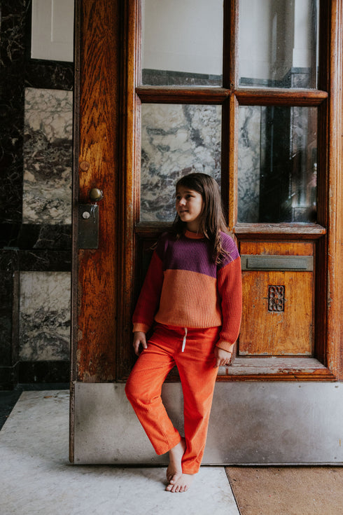Color Block Sweater - PARROT