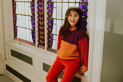 Color Block Sweater - PARROT