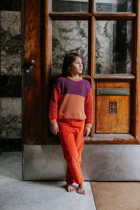 Color Block Sweater - PARROT