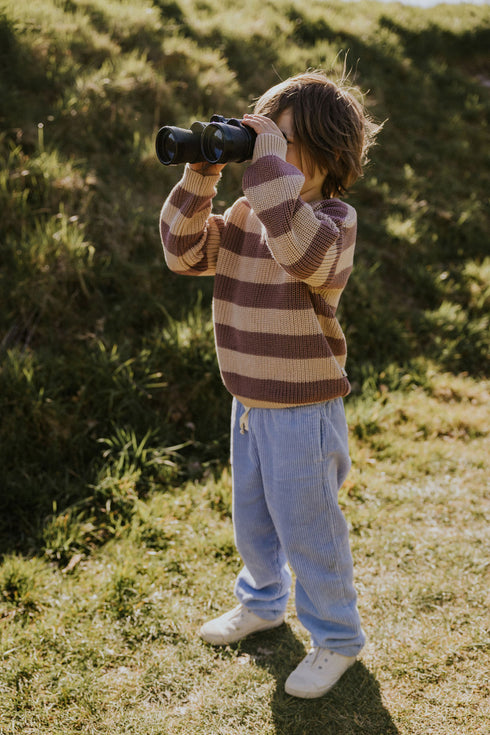Trousers Beau Corduroy - CORNFLOWER