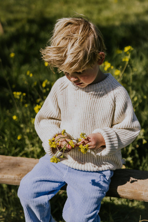 Trousers Beau Corduroy - CORNFLOWER