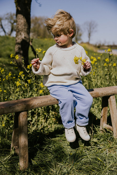 Trousers Beau Corduroy - CORNFLOWER