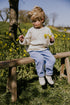 Trousers Beau Corduroy - CORNFLOWER